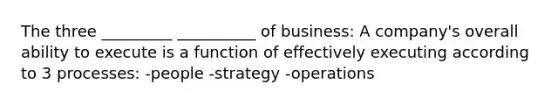 The three _________ __________ of business: A company's overall ability to execute is a function of effectively executing according to 3 processes: -people -strategy -operations