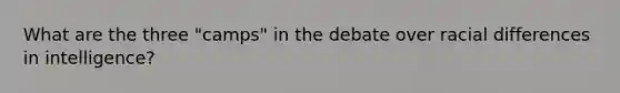 What are the three "camps" in the debate over racial differences in intelligence?