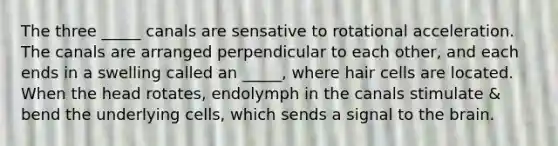 The three _____ canals are sensative to rotational acceleration. The canals are arranged perpendicular to each other, and each ends in a swelling called an _____, where hair cells are located. When the head rotates, endolymph in the canals stimulate & bend the underlying cells, which sends a signal to the brain.