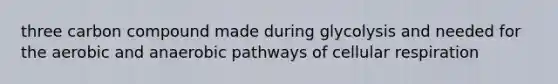 three carbon compound made during glycolysis and needed for the aerobic and anaerobic pathways of cellular respiration
