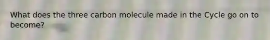 What does the three carbon molecule made in the Cycle go on to become?