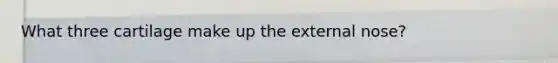 What three cartilage make up the external nose?