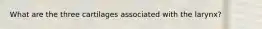 What are the three cartilages associated with the larynx?