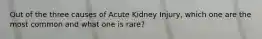 Out of the three causes of Acute Kidney Injury, which one are the most common and what one is rare?