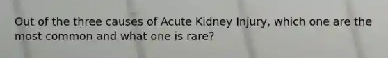 Out of the three causes of Acute Kidney Injury, which one are the most common and what one is rare?