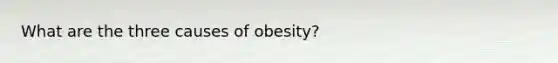 What are the three causes of obesity?