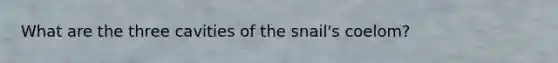 What are the three cavities of the snail's coelom?