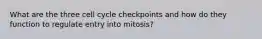 What are the three cell cycle checkpoints and how do they function to regulate entry into mitosis?