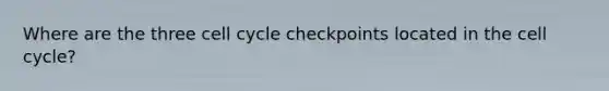 Where are the three cell cycle checkpoints located in the cell cycle?