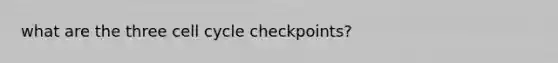 what are the three cell cycle checkpoints?