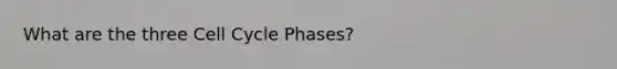 What are the three Cell Cycle Phases?