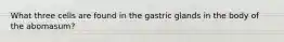 What three cells are found in the gastric glands in the body of the abomasum?