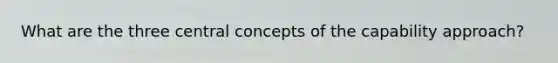 What are the three central concepts of the capability approach?