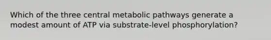 Which of the three central metabolic pathways generate a modest amount of ATP via substrate-level phosphorylation?