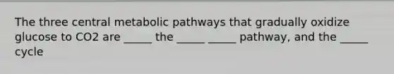 The three central metabolic pathways that gradually oxidize glucose to CO2 are _____ the _____ _____ pathway, and the _____ cycle