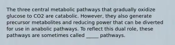 The three central metabolic pathways that gradually oxidize glucose to CO2 are catabolic. However, they also generate precursor metabolites and reducing power that can be diverted for use in anabolic pathways. To reflect this dual role, these pathways are sometimes called _____ pathways.