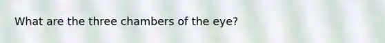 What are the three chambers of the eye?