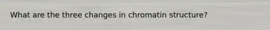 What are the three changes in chromatin structure?