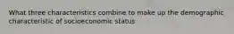 What three characteristics combine to make up the demographic characteristic of socioeconomic status