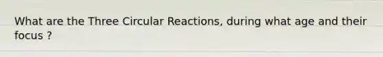 What are the Three Circular Reactions, during what age and their focus ?