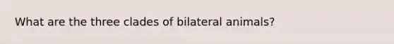 What are the three clades of bilateral animals?