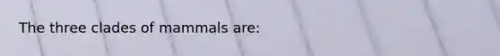 The three clades of mammals are: