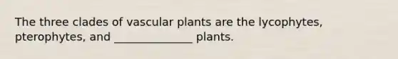 The three clades of vascular plants are the lycophytes, pterophytes, and ______________ plants.