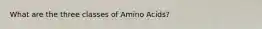 What are the three classes of Amino Acids?