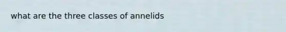 what are the three classes of annelids