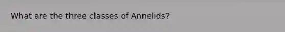 What are the three classes of Annelids?