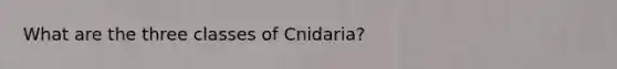 What are the three classes of Cnidaria?