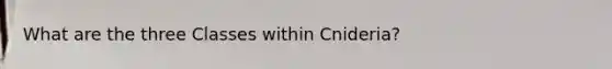 What are the three Classes within Cnideria?