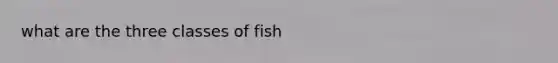 what are the three classes of fish