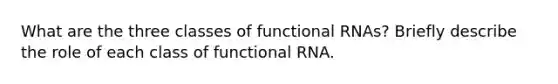 What are the three classes of functional RNAs? Briefly describe the role of each class of functional RNA.