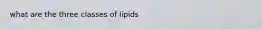 what are the three classes of lipids