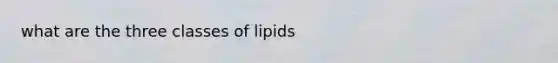 what are the three classes of lipids