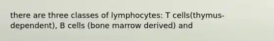 there are three classes of lymphocytes: T cells(thymus-dependent), B cells (bone marrow derived) and