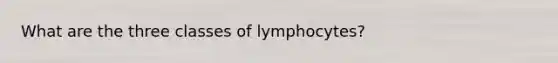 What are the three classes of lymphocytes?