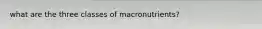 what are the three classes of macronutrients?