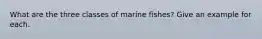 What are the three classes of marine fishes? Give an example for each.