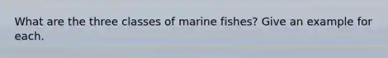 What are the three classes of marine fishes? Give an example for each.