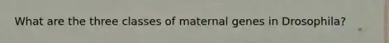 What are the three classes of maternal genes in Drosophila?