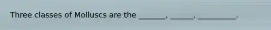 Three classes of Molluscs are the _______, ______, __________.