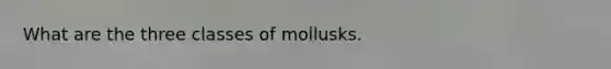 What are the three classes of mollusks.