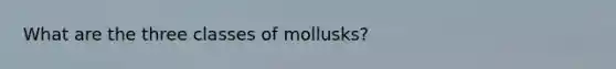 What are the three classes of mollusks?