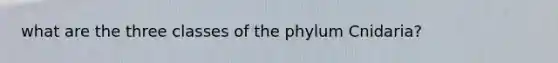 what are the three classes of the phylum Cnidaria?