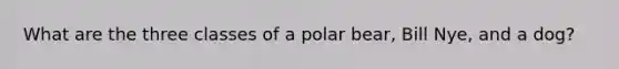 What are the three classes of a polar bear, Bill Nye, and a dog?