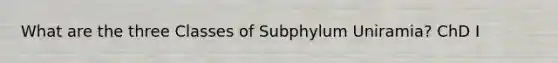 What are the three Classes of Subphylum Uniramia? ChD I