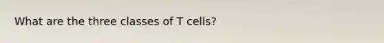 What are the three classes of T cells?