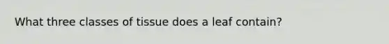 What three classes of tissue does a leaf contain?